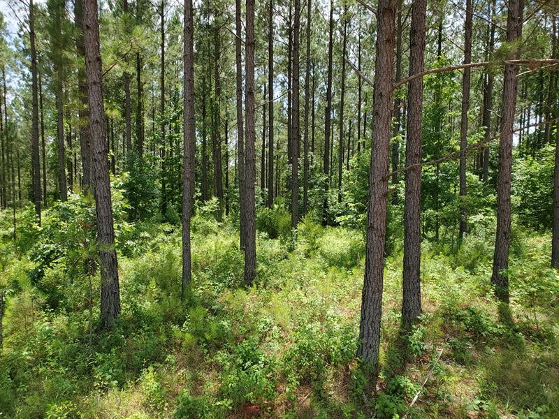 Webb's Retreat : West Point : Troup County : Georgia
