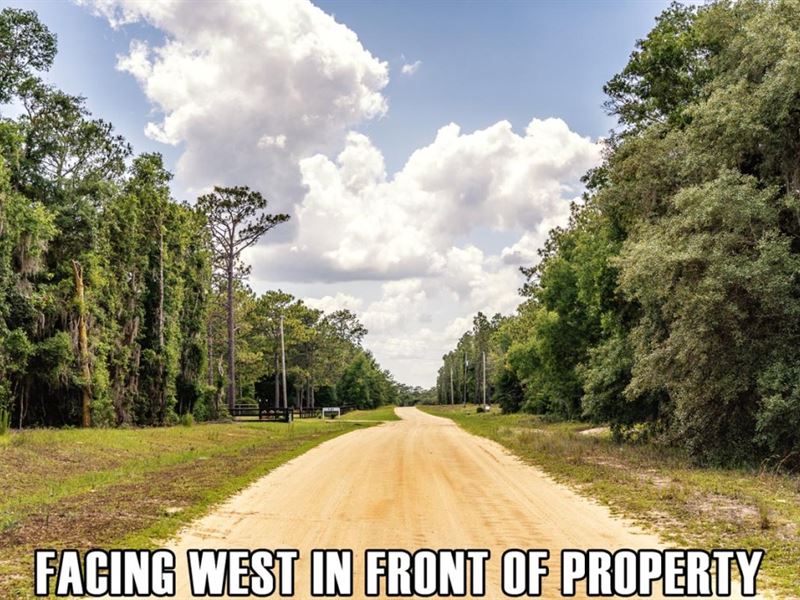 $5,900 Down, Open Space, Must Sell : Hawthorne : Putnam County : Florida