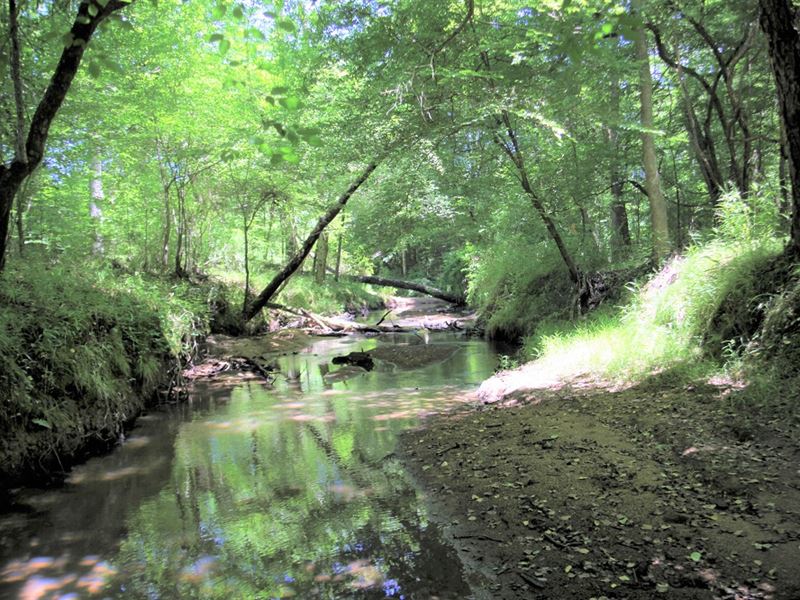 Hardwoods, Big Creek, and Pines : Sparta : Hancock County : Georgia