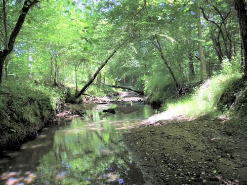 Hardwoods, Big Creek, and Pines : Sparta : Hancock County : Georgia