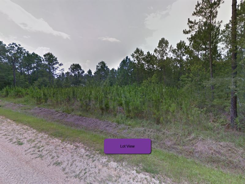 2 Large Lots Together Near Beach : Bay Saint Louis : Hancock County : Mississippi