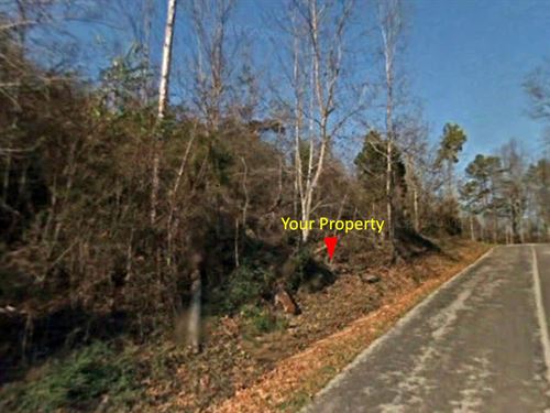 .57 Acre Lot Near Emory River : Harriman : Roane County : Tennessee