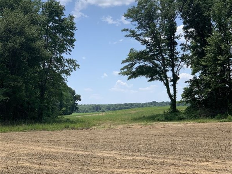 Serles Tract : Hornsby : Hardeman County : Tennessee