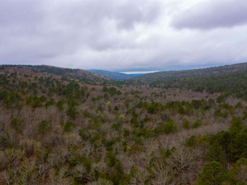 Rock Creek Ranch, OK : Bengal : Le Flore County : Oklahoma