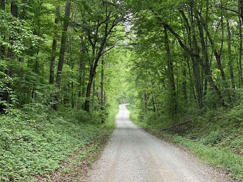 Land for Sale by Owner : Somerset : Pulaski County : Kentucky