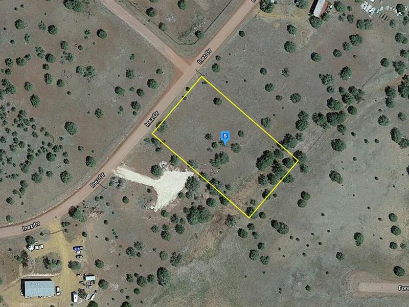 Great Savings for You : Ash Fork : Coconino County : Arizona
