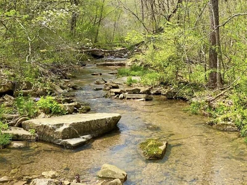 $1500 Down On Hunting Tract : Rolla : Pulaski County : Missouri