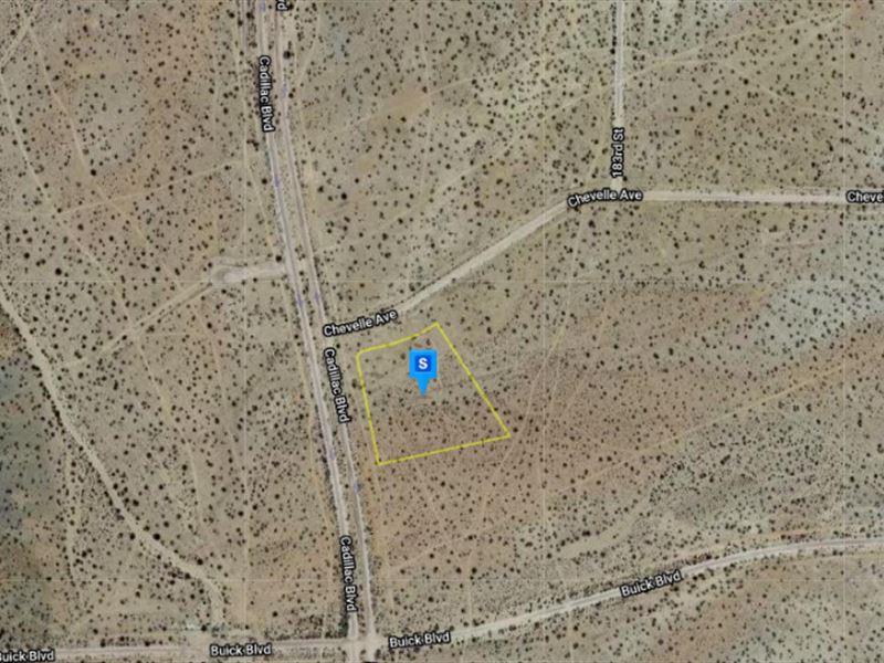 California Desert Dream : California City : Kern County : California