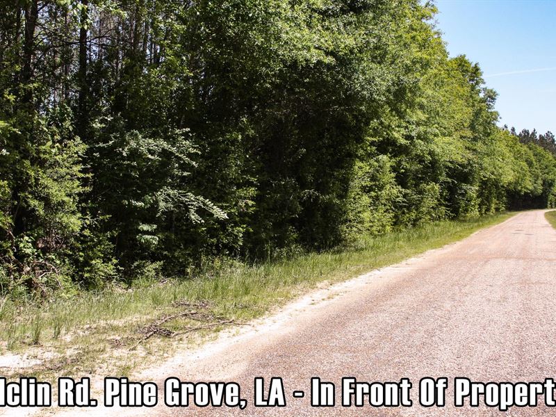 $9,900 Down, Other Parcels Also : Pine Grove : Saint Helena Parish : Louisiana