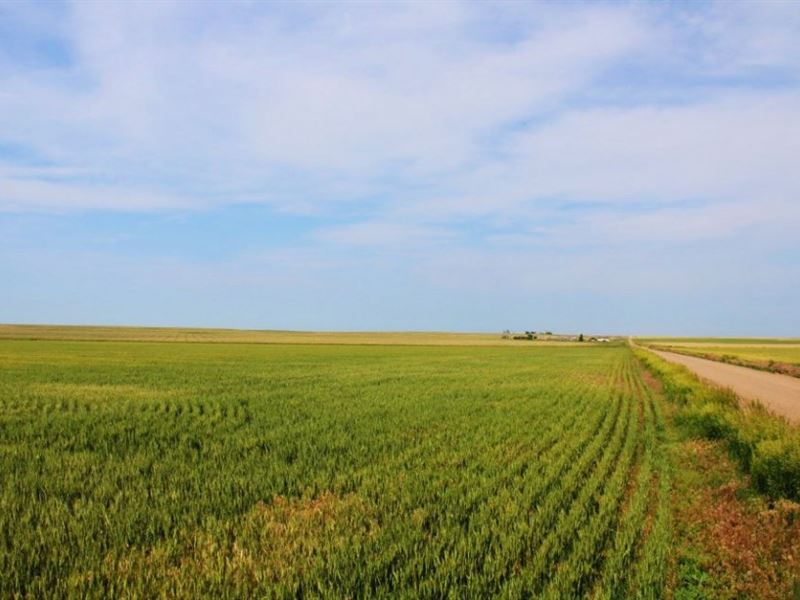 Keith County Drycrop Quarter : Big Springs : Keith County : Nebraska