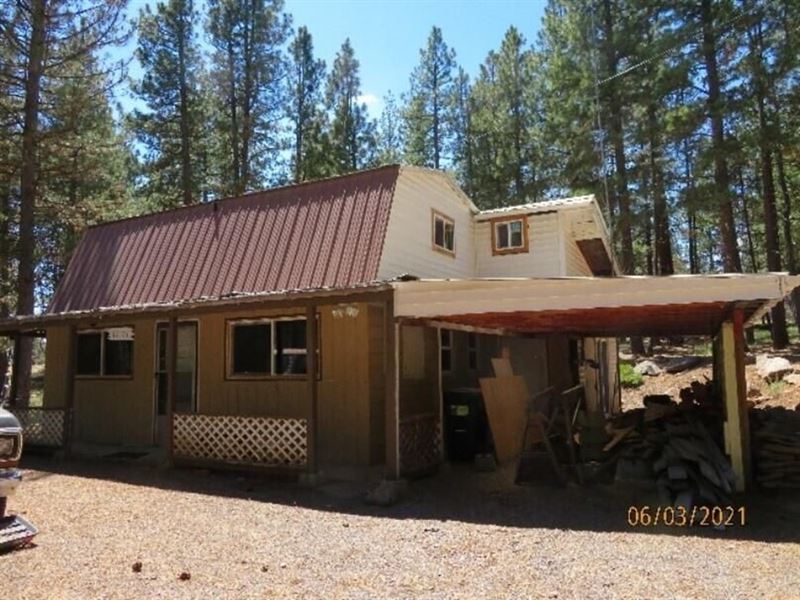 Off The Grid Cabin : Bonanza : Klamath County : Oregon