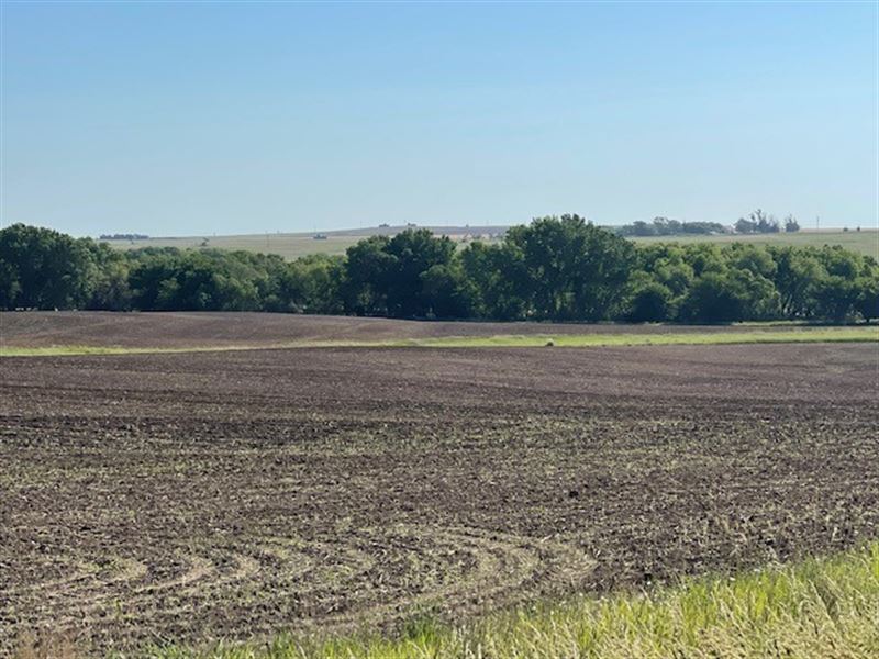 Crescent Farms Quarter 15 : Ogallah : Trego County : Kansas