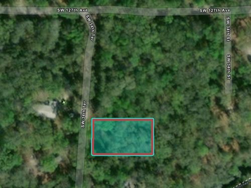 Magnolia Hammock, 0.2996 Acre Lot : Webster : Sumter County : Florida