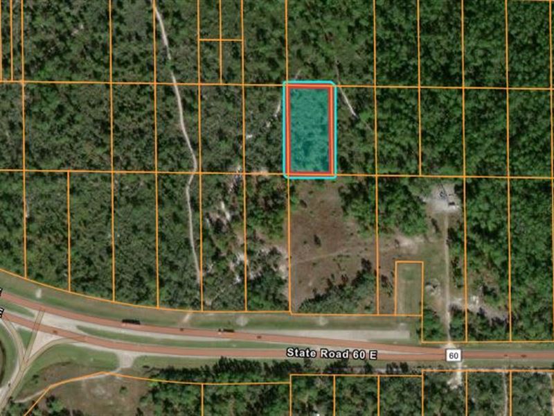 River Ranch Access Deed : Lake Wales : Polk County : Florida