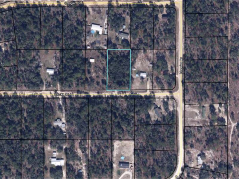 Keystone Heights, 1.123 Acre Lot : Keystone Heights : Clay County : Florida
