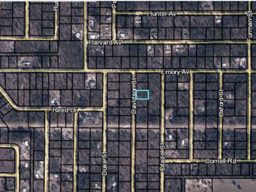 Keystone Heights, 0.344 Acre Lot : Keystone Heights : Clay County : Florida