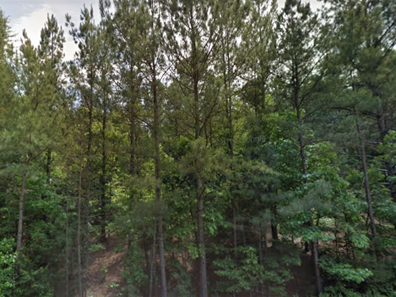Beautiful Escape, Fsbo : Elberton : Elbert County : Georgia