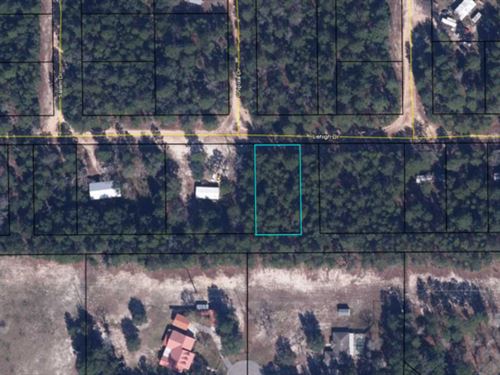 Keystone Heights, 0.378 Acre Lot : Keystone Heights : Clay County : Florida