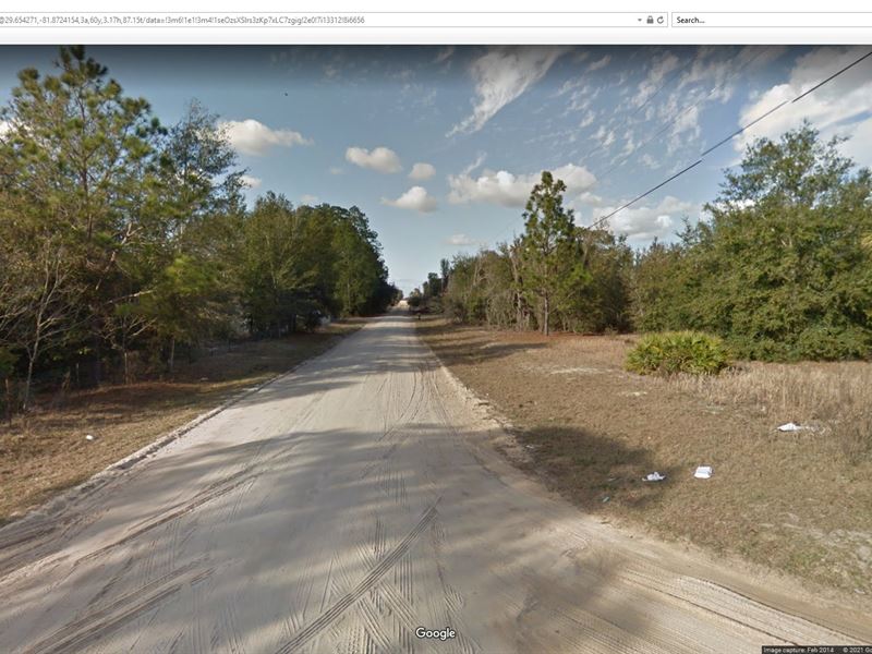 Escape to Putnam County, FL : Interlachen : Putnam County : Florida