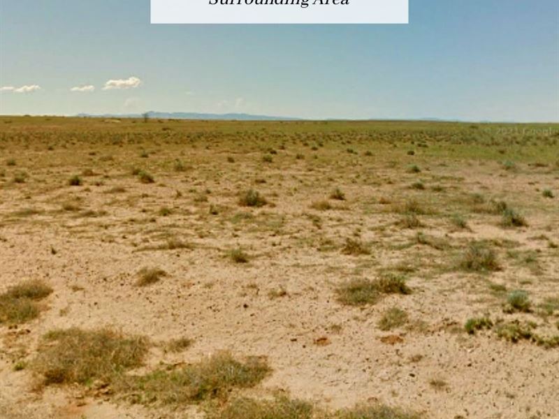 5 Acres Only $1 Down, $299/Mo : Belen : Valencia County : New Mexico