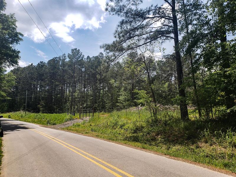 $8,900 Down, Forest Land, Paved Rd : Silver Creek : Polk County : Georgia
