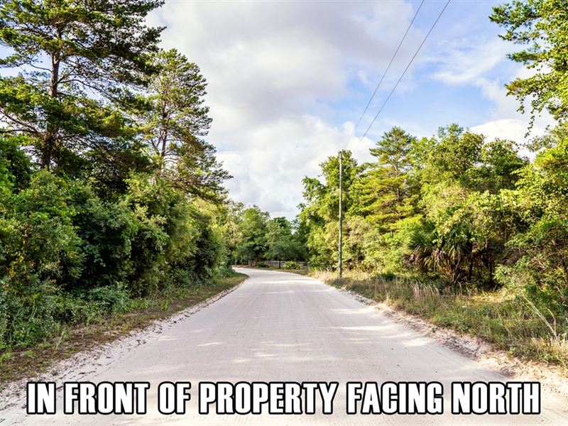 Owner Fi, 15 Minutes to Beach : Perry : Taylor County : Florida