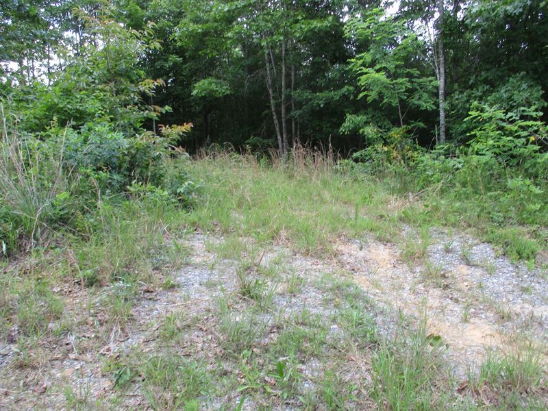 Off Grid, no Restrictions : Spencer : Bledsoe County : Tennessee