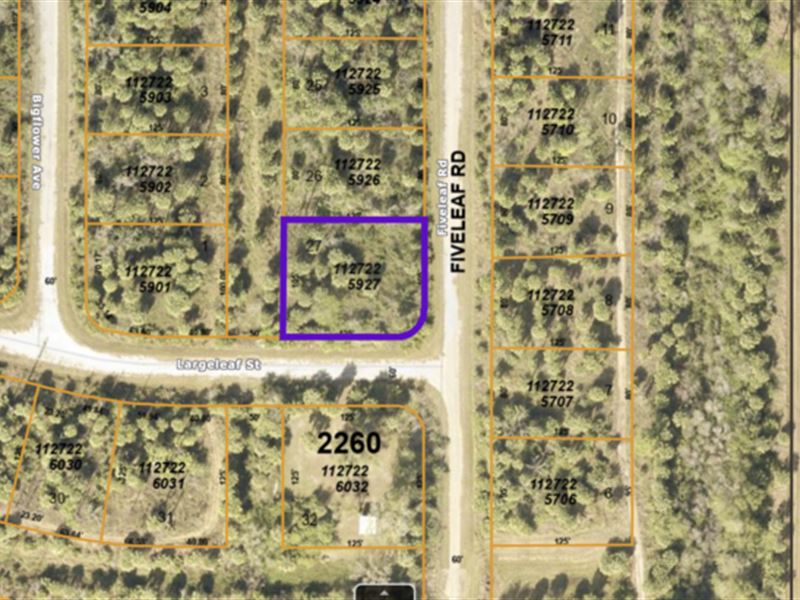 .301 Acre Lot in North Port, FL : North Port : Sarasota County : Florida