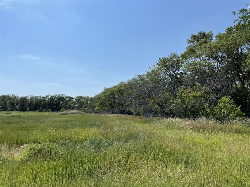 12727 County Road 13 : Bath : Brown County : South Dakota