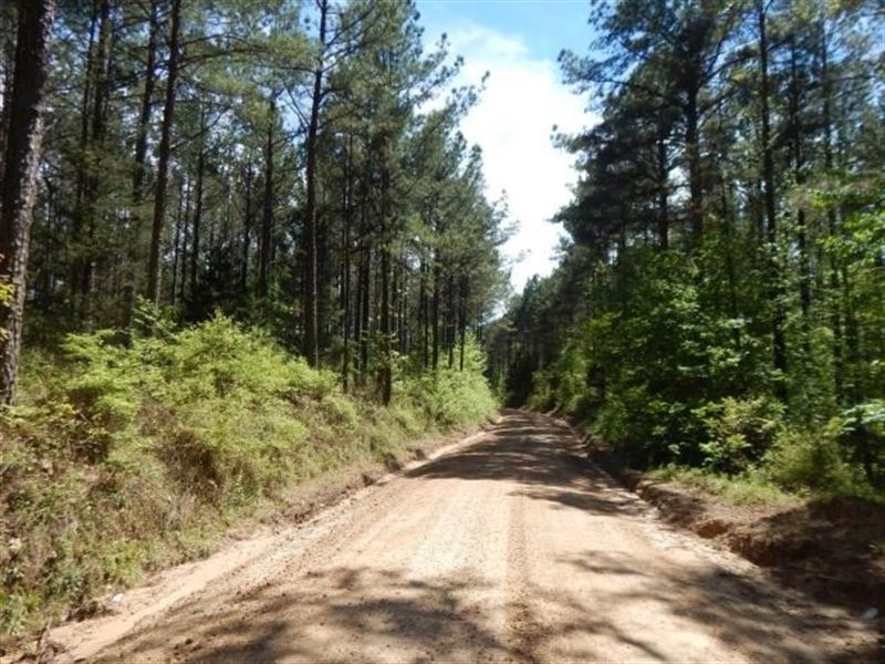 35.4 Acres in Carroll County in Vai : Vaiden : Carroll County : Mississippi