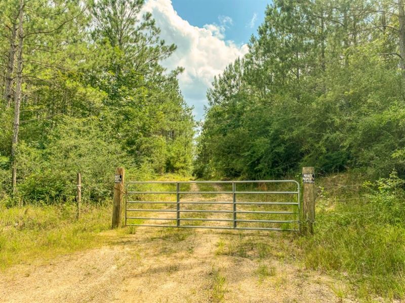 57 Acres Hunting/Recreational Land Land for Sale in Heidelberg, Wayne