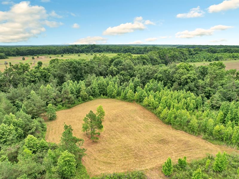 Deer & Duck Combo Hunting Tract : Clayton : Catahoula Parish : Louisiana
