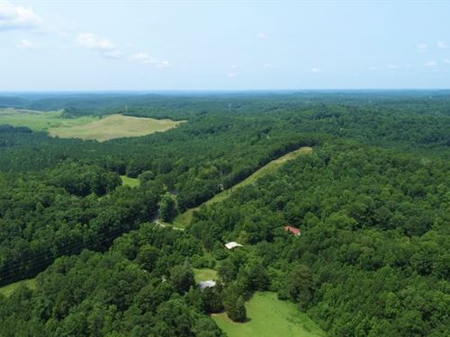 8.3 Acres Wooded Lot, Power : Quinton : Walker County : Alabama