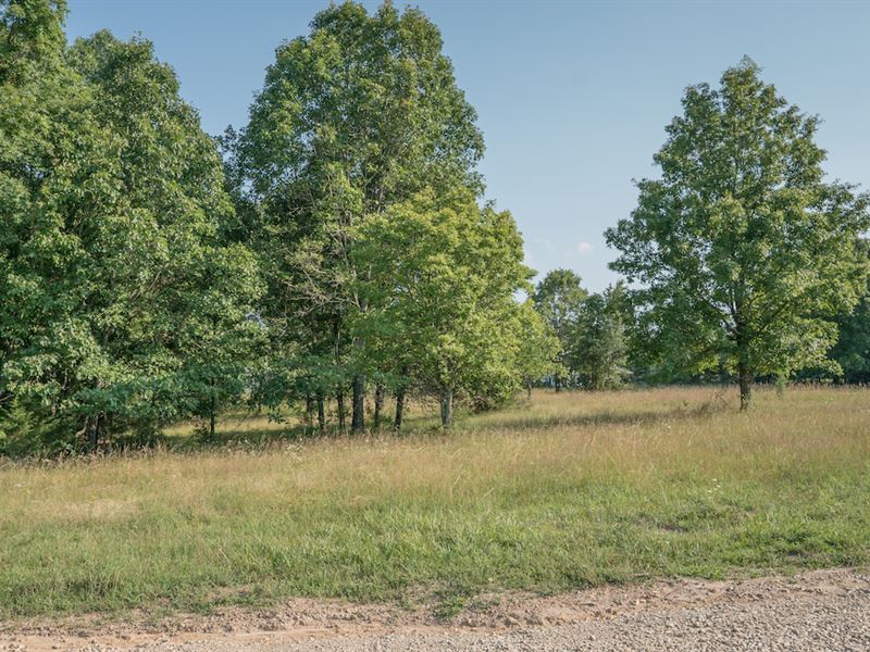Land to Build On : Rogersville : Webster County : Missouri
