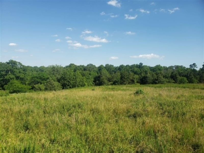90 Acres in The Ozarks : Willow Springs : Douglas County : Missouri