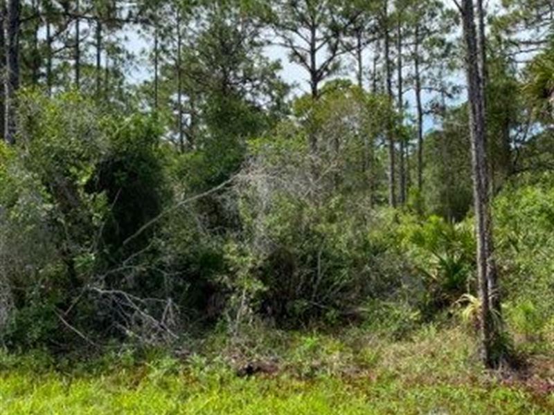 FL Build Lot, Utilities Near Homes : Port Charlotte : Charlotte County : Florida