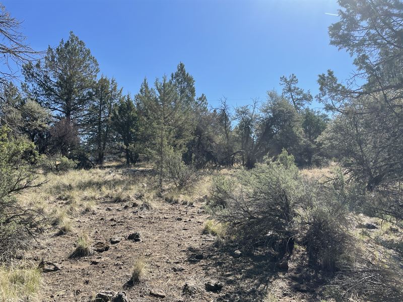 1.58 Acres, Phone and Power, Trees : Bonanza : Klamath County : Oregon