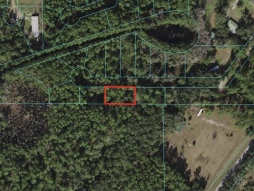 Fort MC Coy, 0.14 Acre Lot : Fort Mc Coy : Martin County : Florida