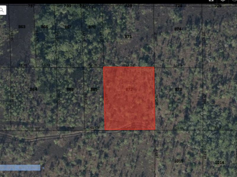 Palm Beach Heights, 0.5 Acre : Stuart : Martin County : Florida