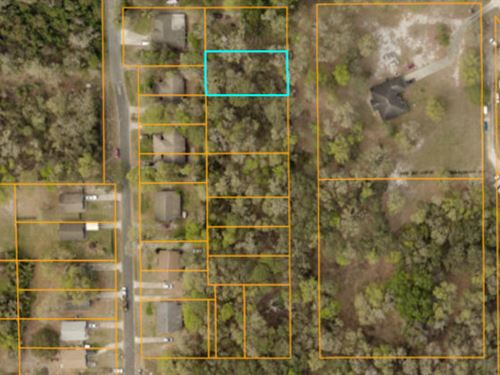 Kenwood Ave. in Deland, FL : Deland : Volusia County : Florida