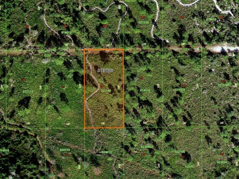 Central Lake Estates, Frostproof : Frostproof : Polk County : Florida