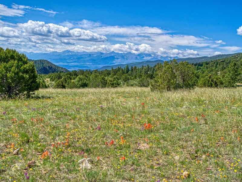 Copperfield Ranch : Cotopaxi : Fremont County : Colorado