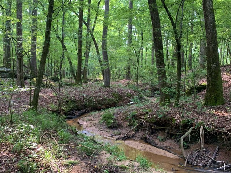 Home Lot, 16 Acres : Monticello : Jasper County : Georgia