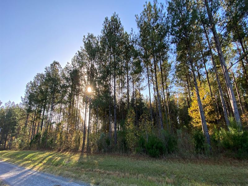 221 Acres in Madison County in Camd : Camden : Madison County : Mississippi