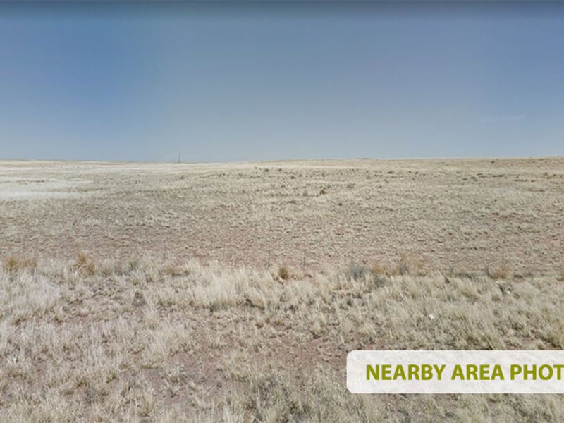 .82 Acres in Navajo County, Arizona : Sun Valley : Navajo County : Arizona