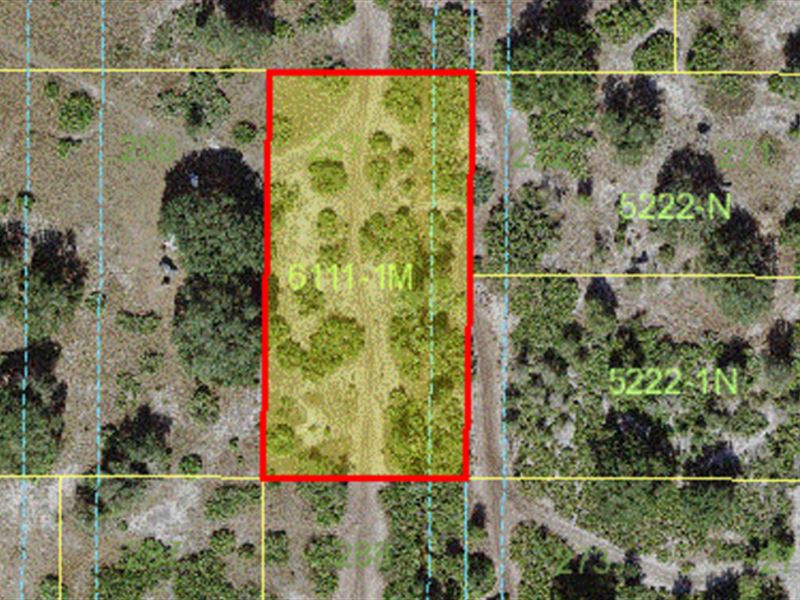 Suburban Estates, Holopaw Groves : Saint Cloud : Osceola County : Florida