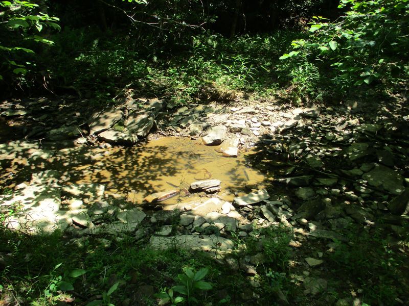 Creek, Level : Pikeville : Bledsoe County : Tennessee
