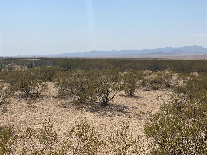 Be in Historic Rte 66 Area, $199/Mo : Kingman : Mohave County : Arizona