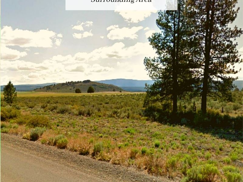 4.52 Acres Only $1 Down, $499/Mo : Chiloquin : Klamath County : Oregon