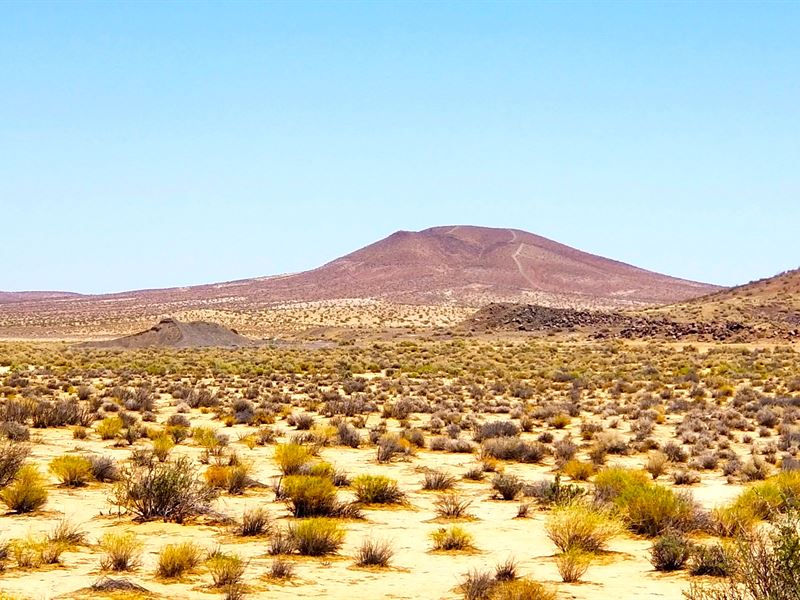Wife Says Its ME or The Land $199/M : North Edwards : Kern County : California